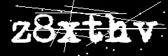 图形验证码