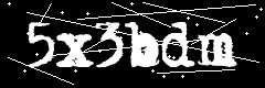 图形验证码