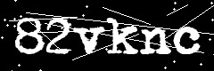 图形验证码