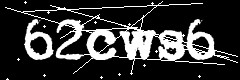 图形验证码